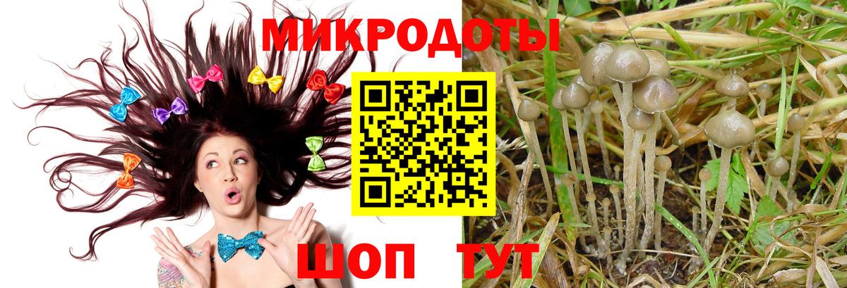 Галлюциногенные грибы Magic Shrooms  Вход с VPN  где купить наркоту  Евпатория 